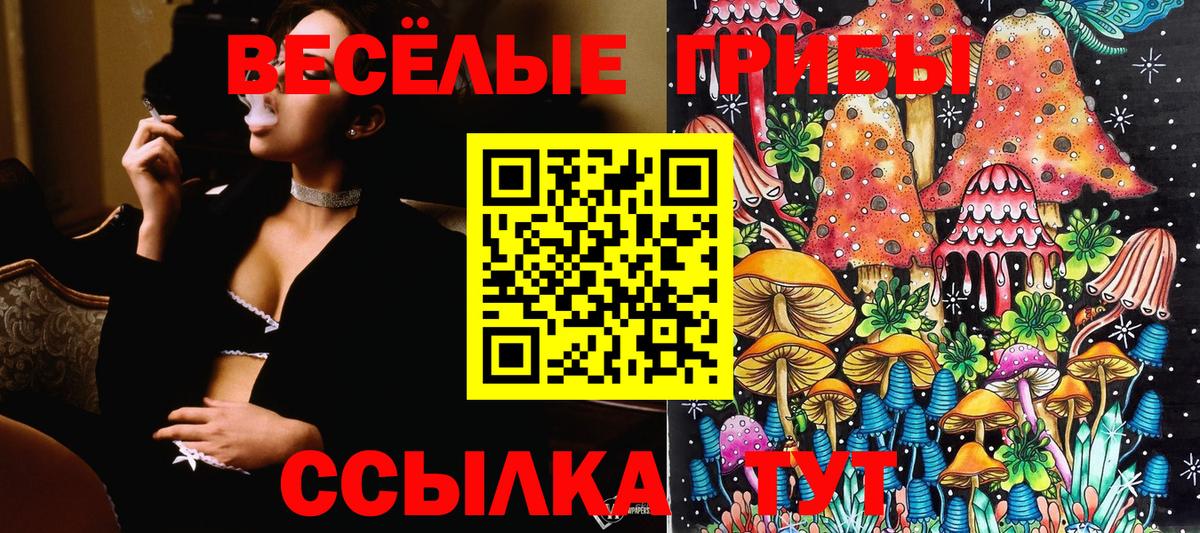 Псилоцибиновые грибы MAGIC MUSHROOMS Касимов