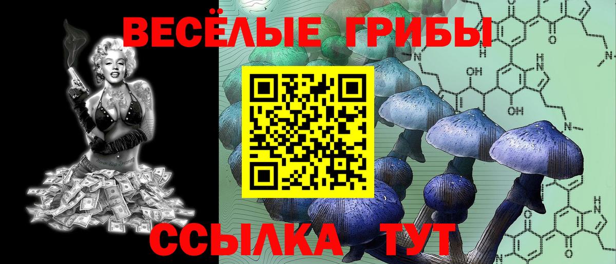 Галлюциногенные грибы Magic Shrooms  Галлюциногенные грибы GOLDEN TEACHER  Вход с VPN  Касимов 